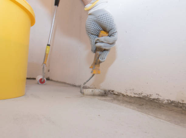 Best Commercial Pest Control  in Colma, CA